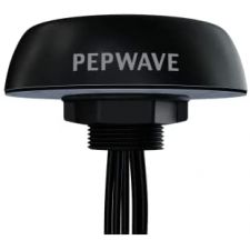Peplink Mobility 40G Antenna | ANT-MB-40G-S-B-6 | 5G/4G LTE | GPS | 2 m Cable | Black | SMA Male