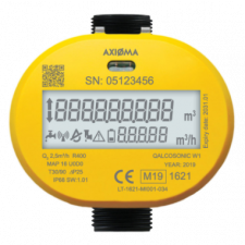 Axioma by SensorWorks - Water Meter DN20 LoRaWAN Sensor