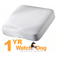 Ruckus Wireless 901-R700-US00-A1 802.11ac/abgn Indoor Access Point